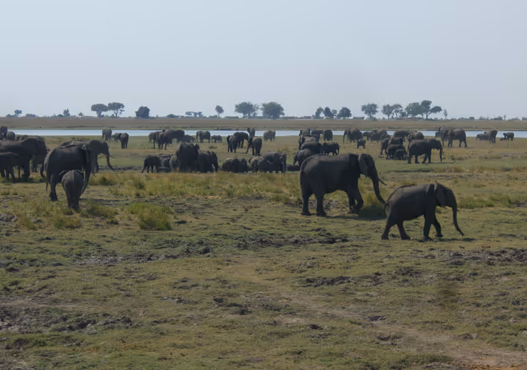 Afrika