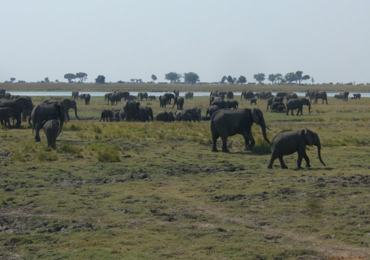 Afrika